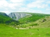 cturzii1